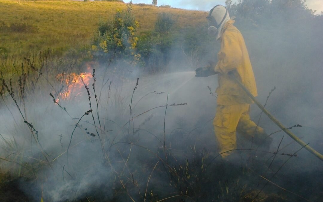 🧑‍🚒 Quemas agrícolas:¿Cómo evitar que se conviertan en incendios forestales?
